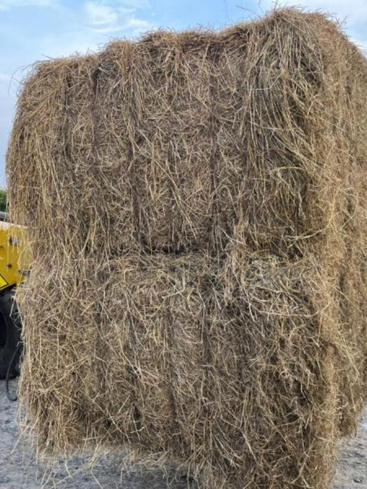 Hay | Contact For a Quote