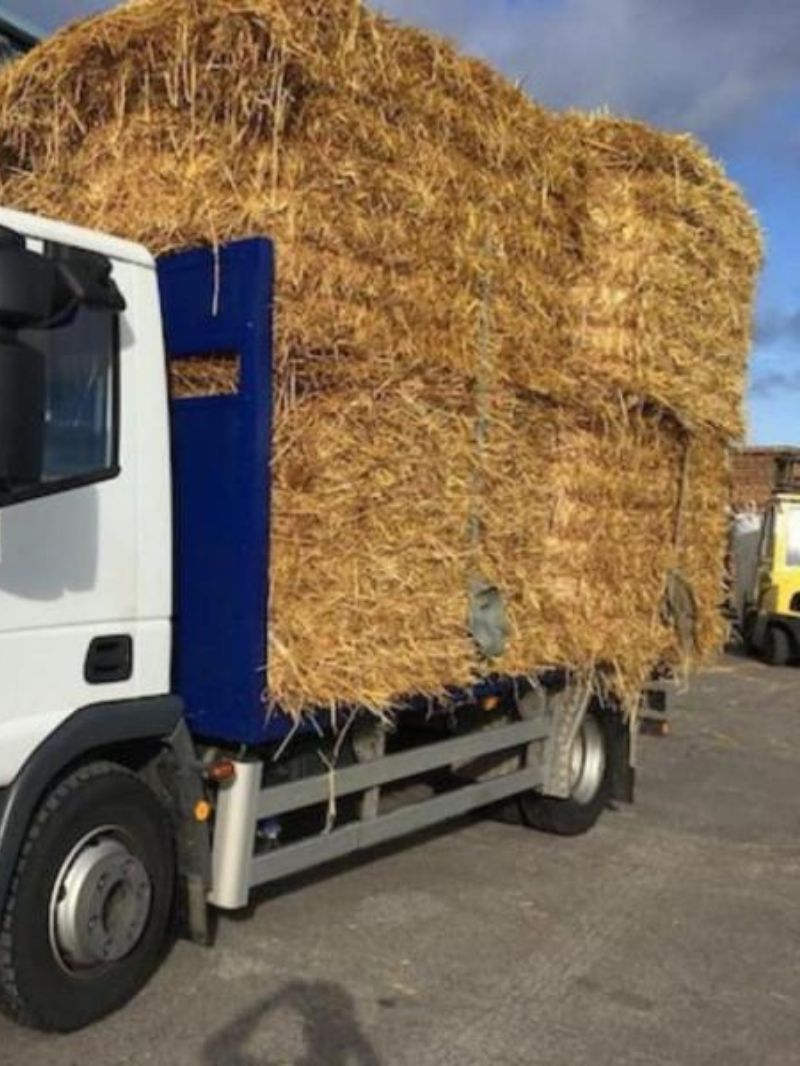 Straw | Bulk Load | Contact For a Quote