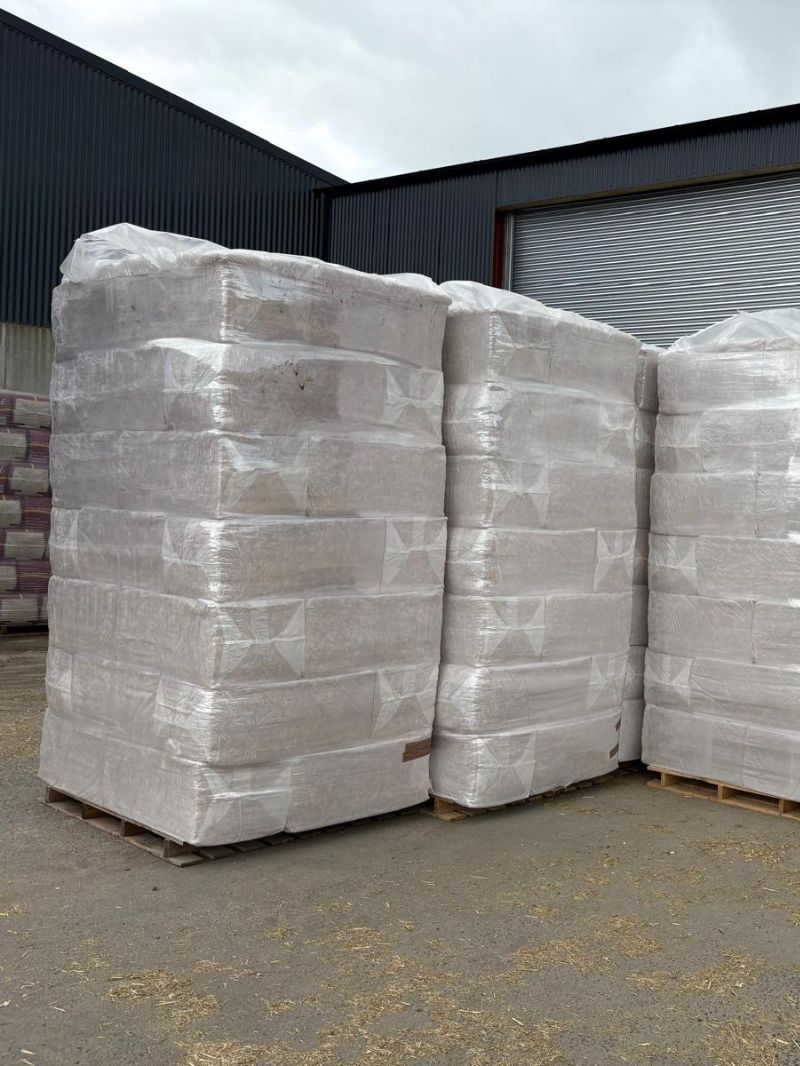 Dust Free Shavings