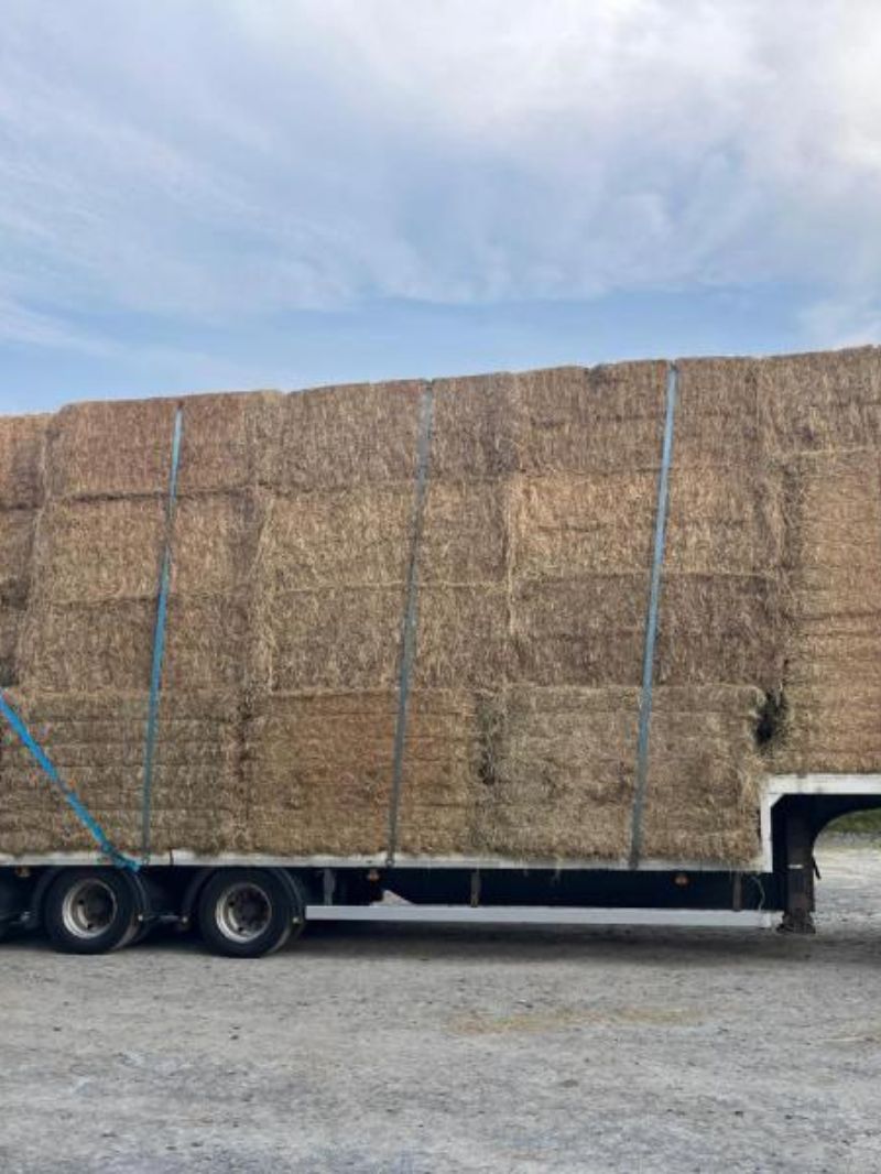 Hay | Contact For a Quote