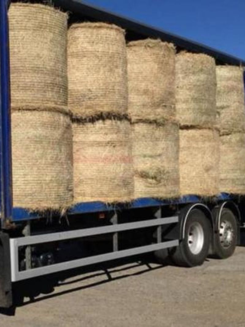 Hay | Contact For a Quote