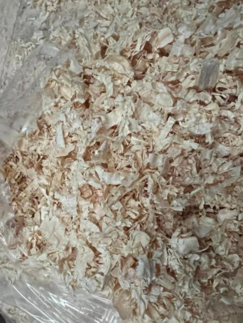 G-Shavings | Wood Shavings | For Collection