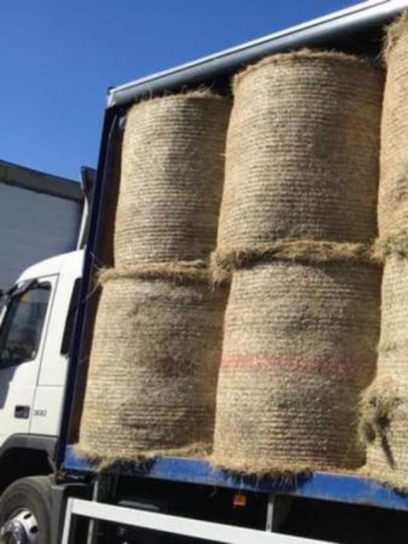 Hay | Contact For a Quote