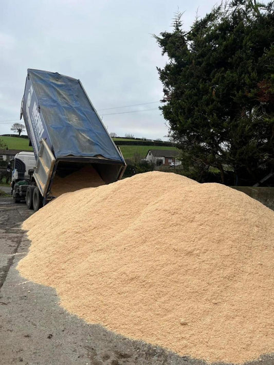 Bulk Fresh Sawdust | Sawdust | Contact For a Quote
