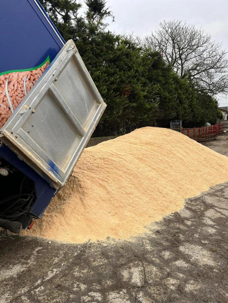 Bulk Fresh Sawdust | Sawdust | Contact For a Quote