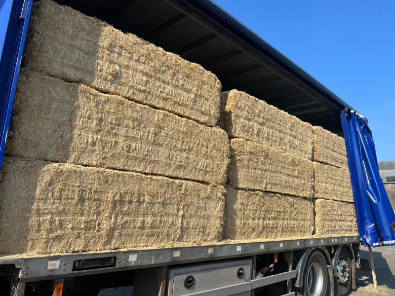 Truck carrying large bales of straw under a clear blue sky.