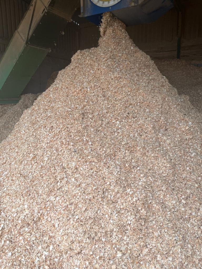 Dust Free Shavings