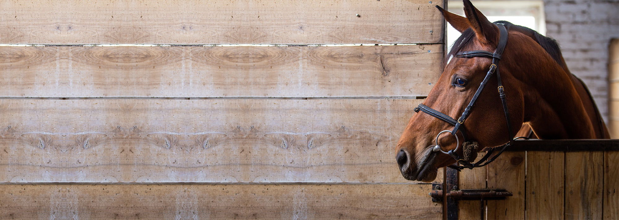 Horse standing next to a wooden fence