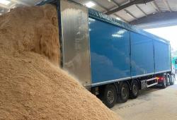 Bulk Kiln Dried Sawdust 