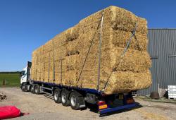 Straw 