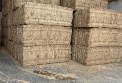 Imported Spanish Straw 
