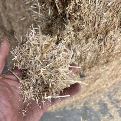 Imported Spanish Straw 