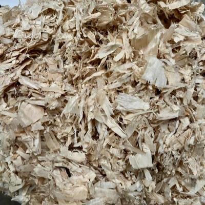 B Shavings 