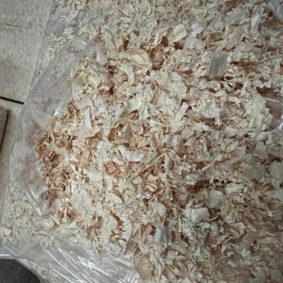 G Shavings 