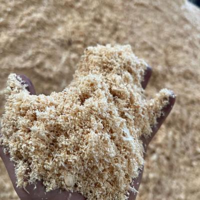 Bulk Fresh Sawdust 