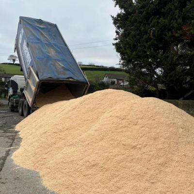 Bulk Fresh Sawdust 