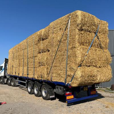 Straw 