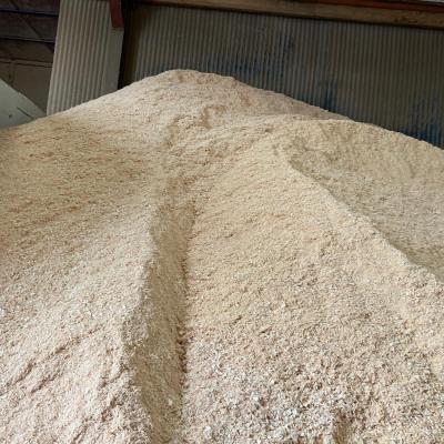 Jumbo Bags of Sawdust 