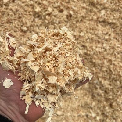 Maxi Bale Shavings 