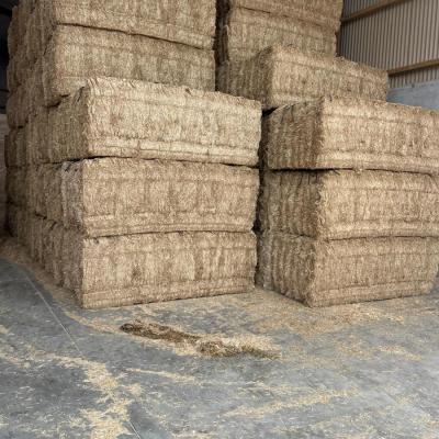 Imported Spanish Straw 
