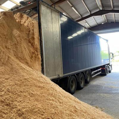 Bulk Fresh Sawdust 